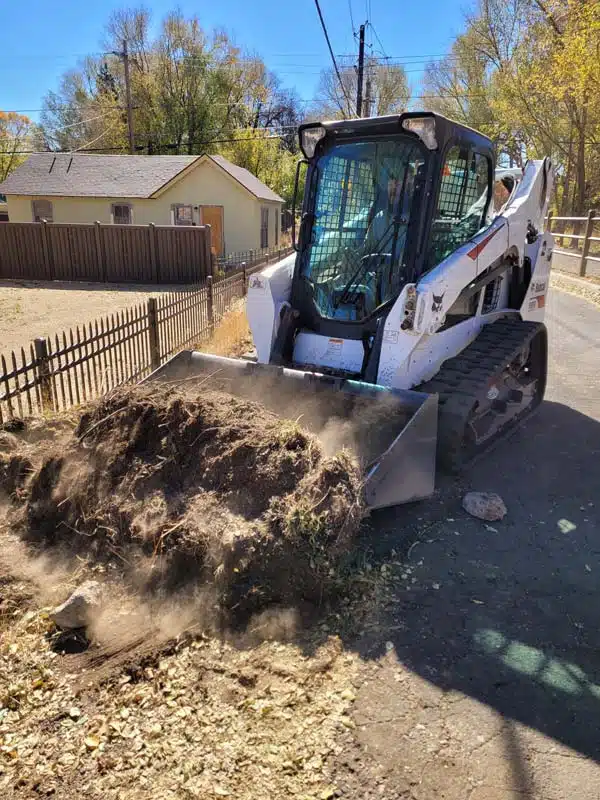 Pine Needle Removal in Flagstaff Julia Romano Photography